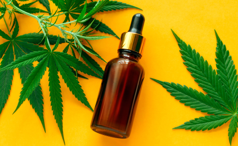 CBD Yağı Faydaları 2022