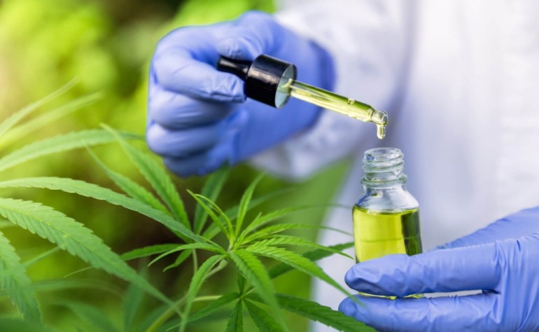 CBD Yağının Kansere Karşı Savaşı 2022