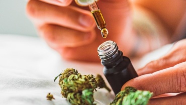 CBD Nedir? 2024